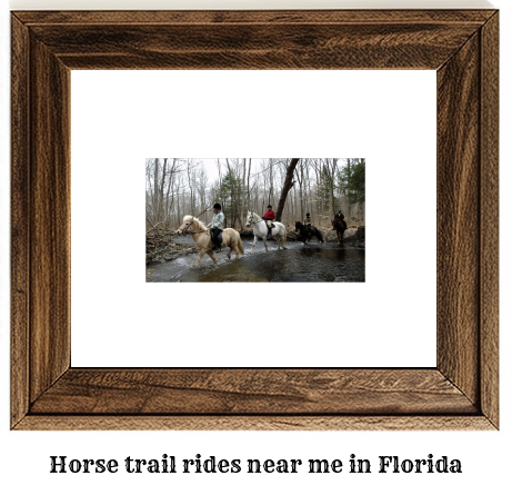 horse trail rides near me Florida